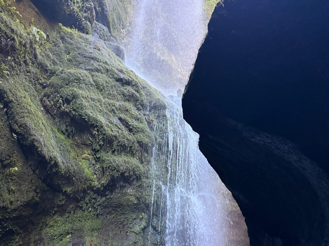 Cascada De los Tilos-San Andres y Sauces必去景点