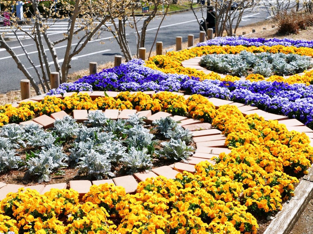 Hokusouhananooka Park-印西市必去景点