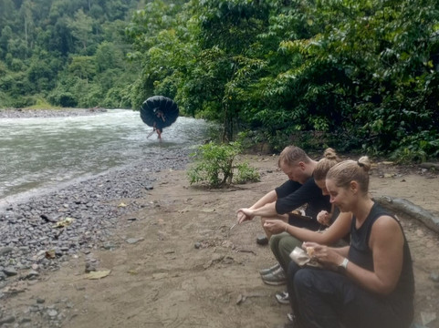 Taro Tour Travel BukitLawang