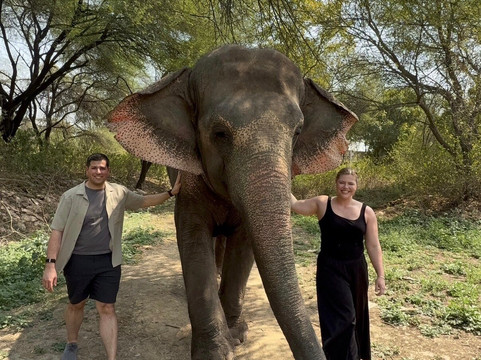 EleSafari-Amer必去景点