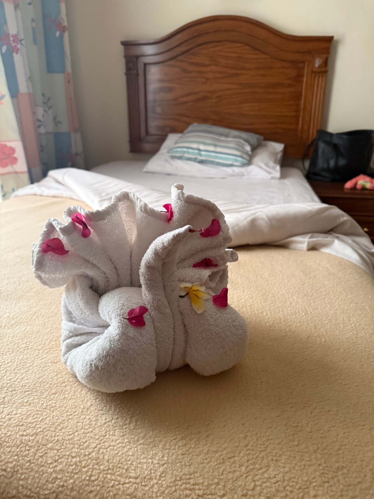 沙姆斯萨法加度假村-官方