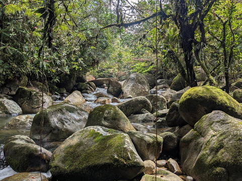 Esmeralda Ecotours San Rafael-San Rafael必去景点