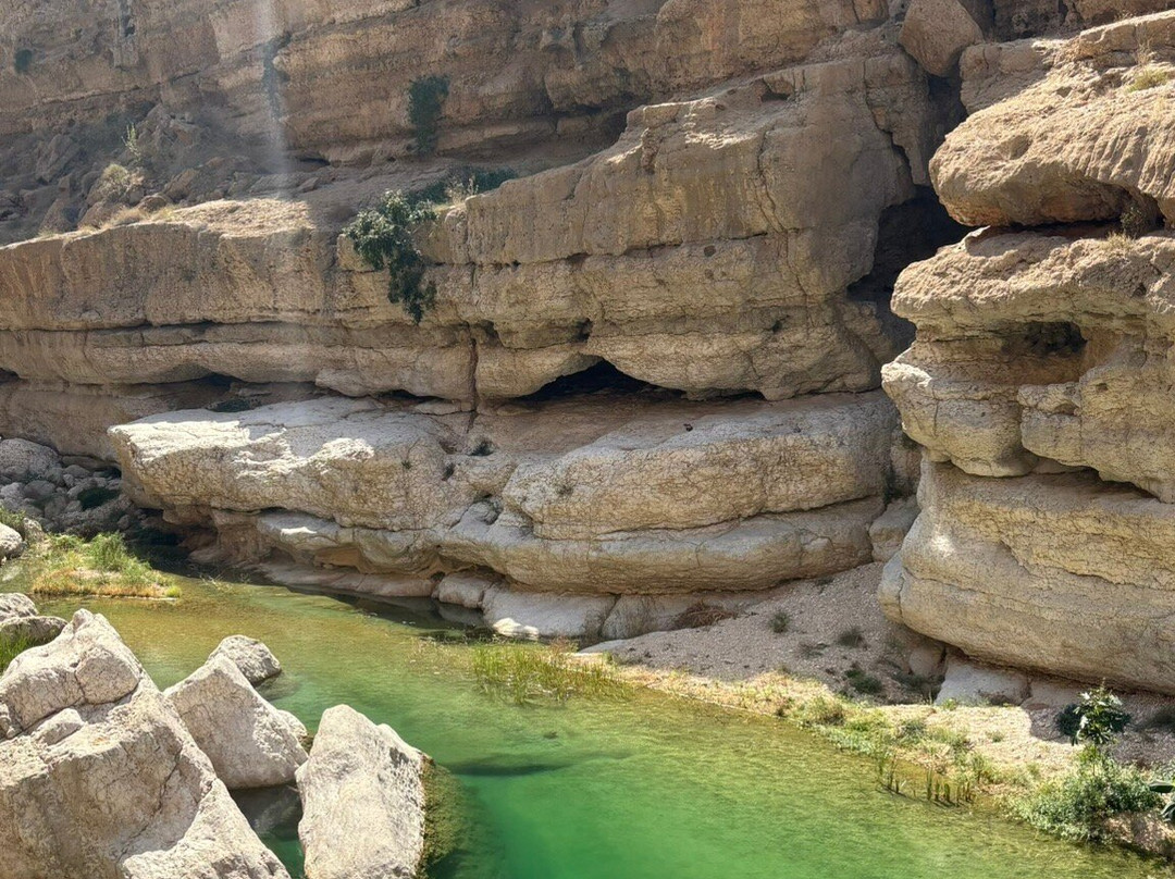 Muscat Nature Tours - Day Tours-马斯喀特必去景点