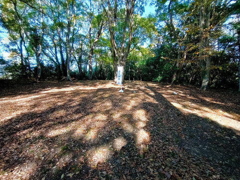 Aki Castle Ruins-安艺市必去景点