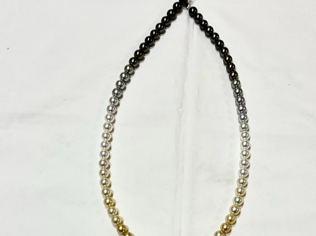 Canilli Pearl