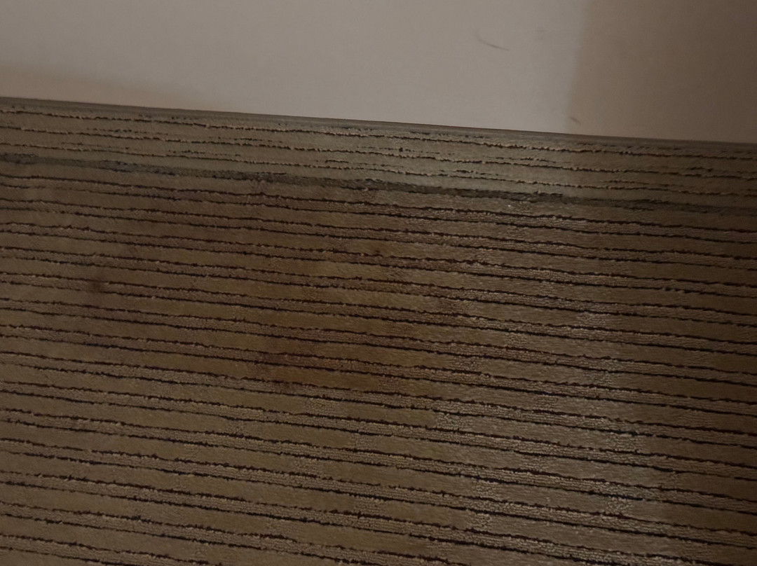 Holiday Inn 布卢明顿主图
