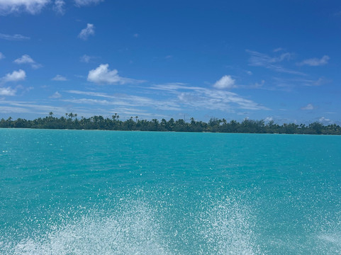 Silent One Lagoon Charters-艾图塔基必去景点