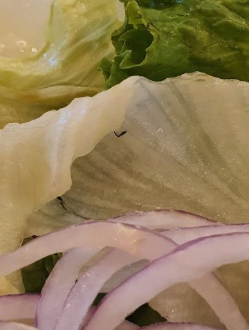 卡米诺里尔酒店-官方