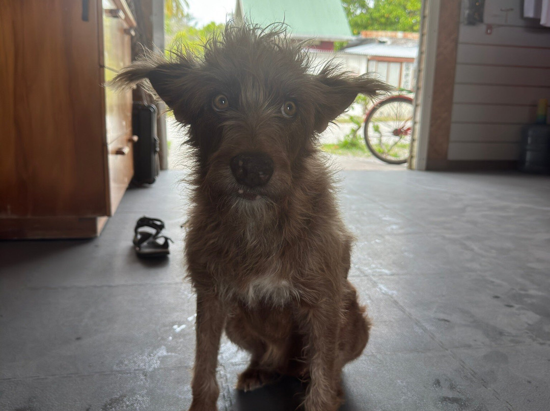 TOPDIVE Fakarava-Fakarava必去景点