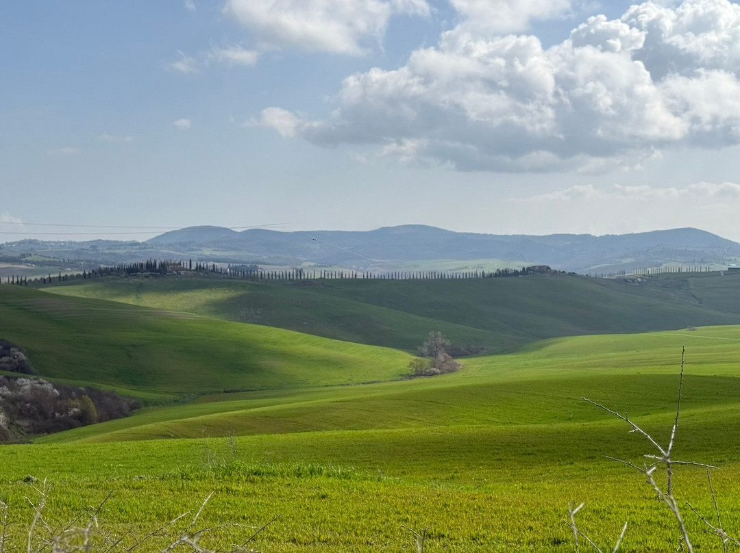 阿尔伯格吉格里奥酒店主图