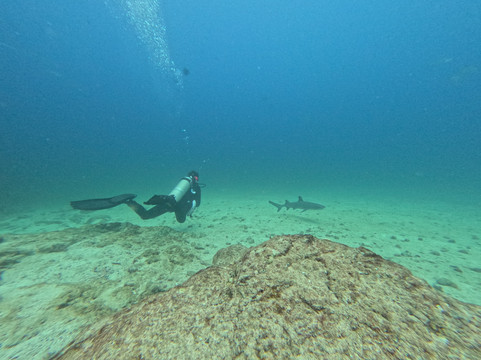 Panama Dive Center-Santa Catalina必去景点
