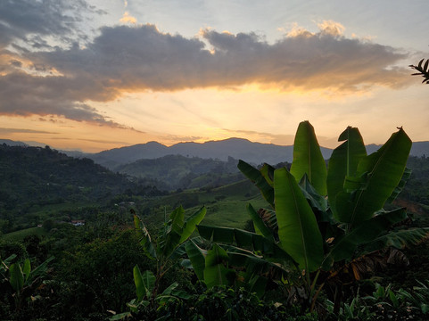 Ecoturismo La Nohelia-Jerico必去景点