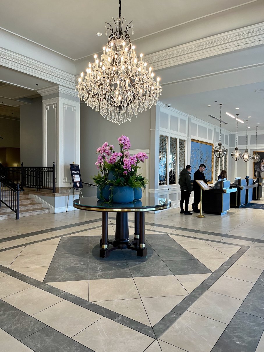 圣路易斯皇家索尼斯塔蔡斯公园广场酒店-浴室