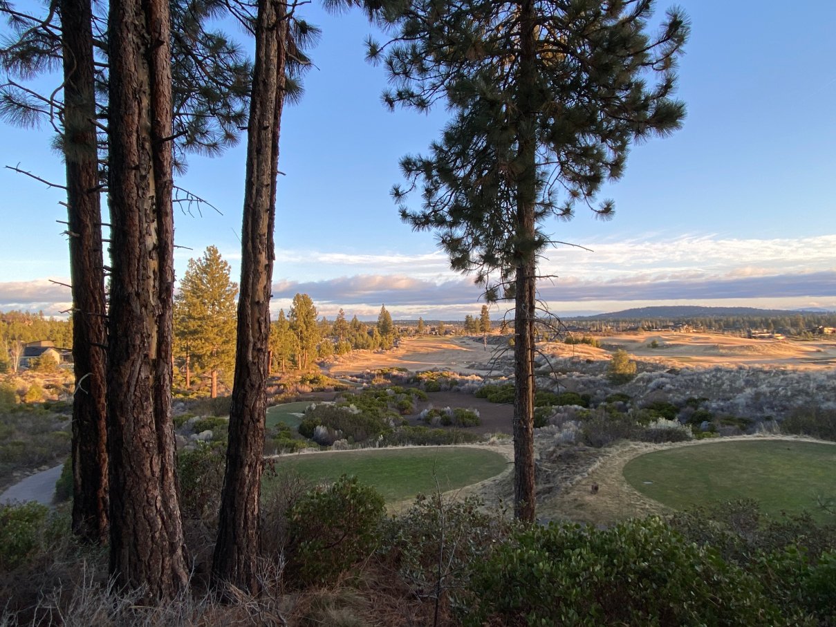 特瑟罗度假村-酒店景观