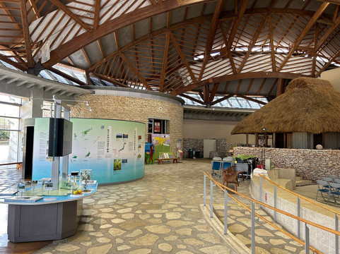 Amami Park-奄美市必去景点