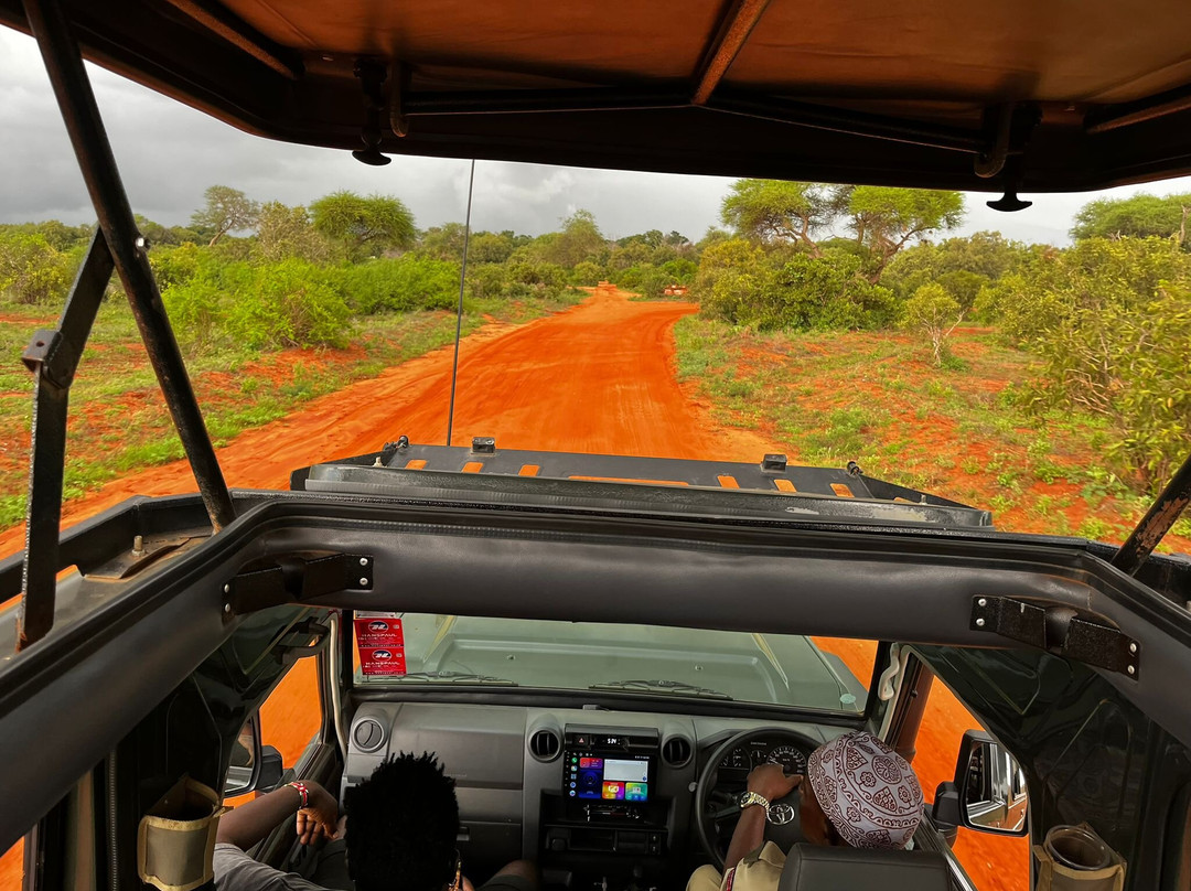 Zucchero Safari Kenya-瓦塔木必去景点