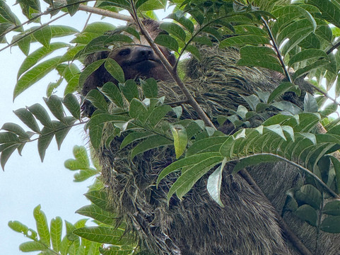 Allan Explorer-Upala必去景点