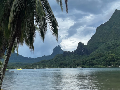 Moorea Island Tours-Temae必去景点