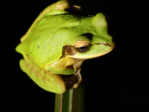 Manuel Tour Guide-卡维塔必去景点