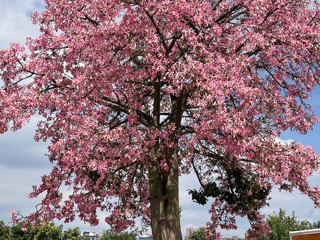 双龙桥-建水县必去景点
