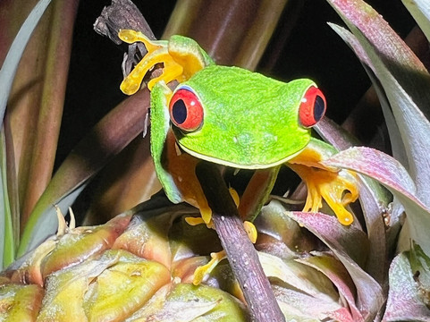 Santa Lucia Falls-乌维塔必去景点