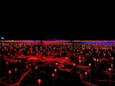 Field of Light-乌鲁鲁-卡塔丘塔国家公园必去景点
