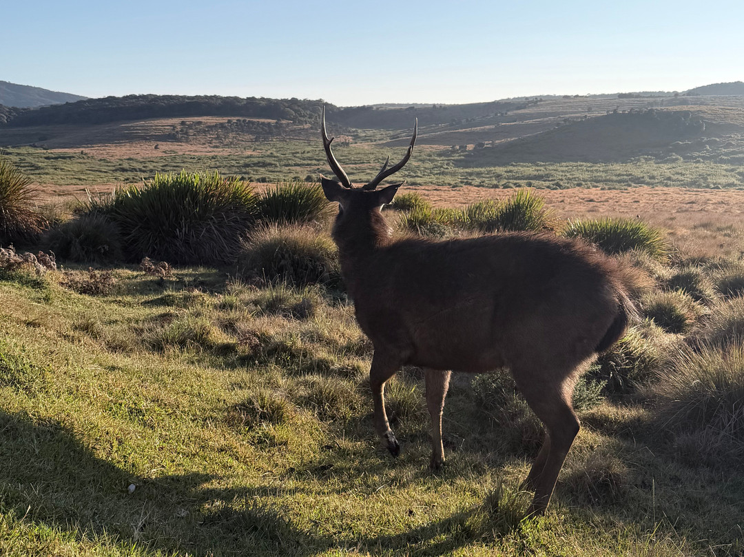 MD Tours - Private Driver Sri Lanka-加勒必去景点