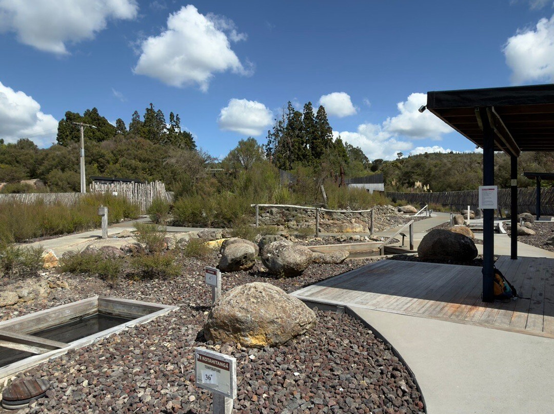 Ngawha Springs-凯科希必去景点