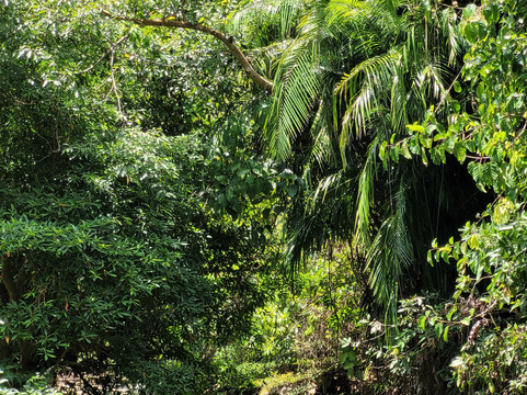 Namtok Ron (Hot Spring Waterfall ) - Khlong Thom-空统必去景点