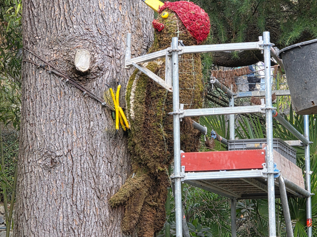 Passeggiata Gilf-梅拉诺必去景点