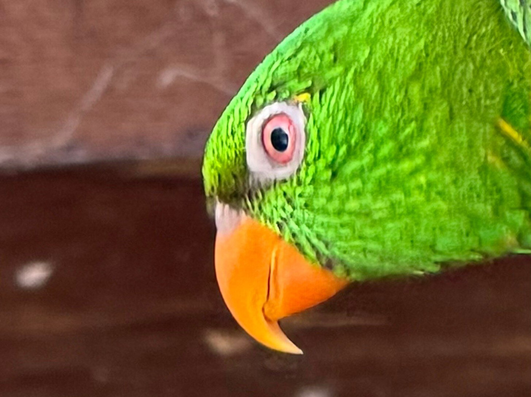 Arca dei Camaleonti-Civitella San Paolo必去景点