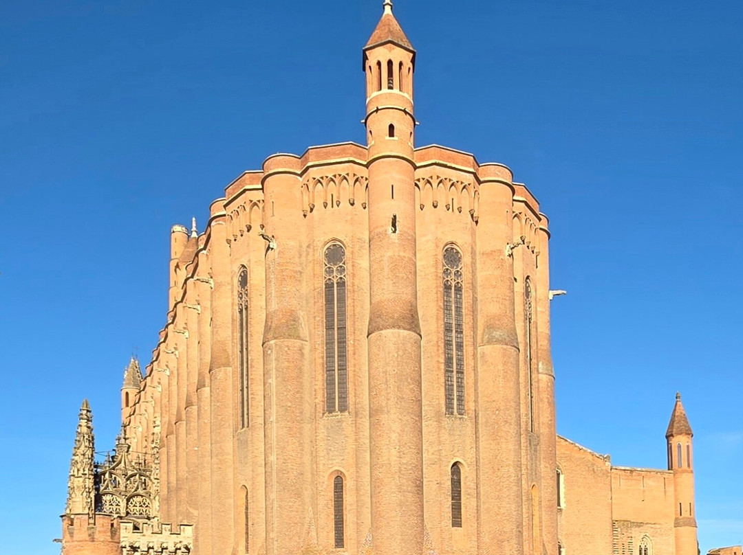 Cloitre de la Collegiale Saint Salvy-阿尔比必去景点