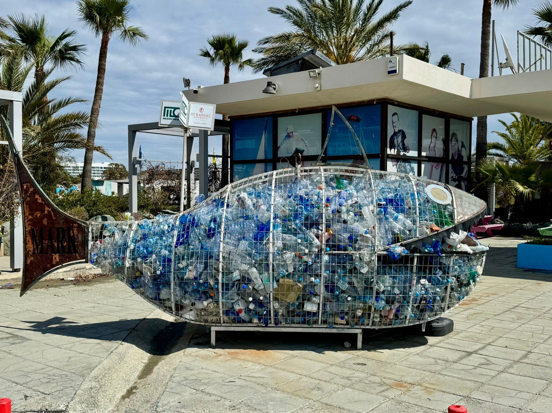 Panagies Plastic Free Beach