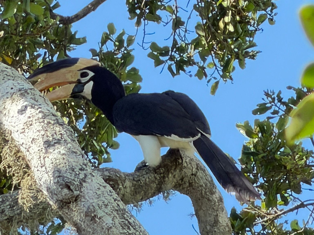 Journey To Lankatours-科伦坡必去景点