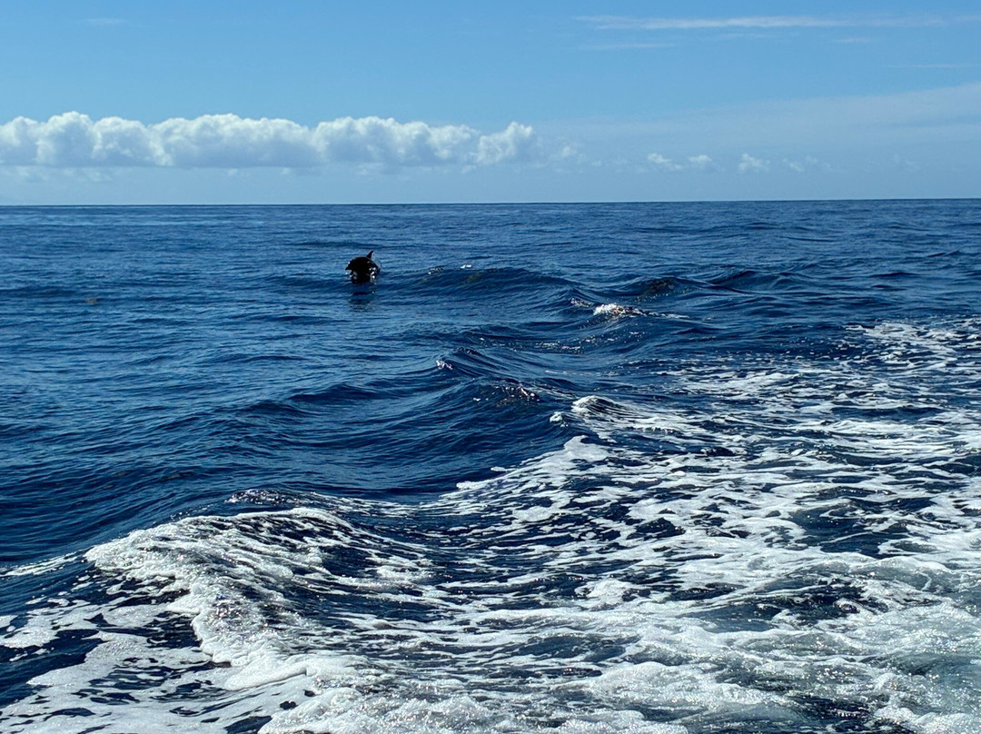 Soleil Excursions-Pointe-Noire必去景点