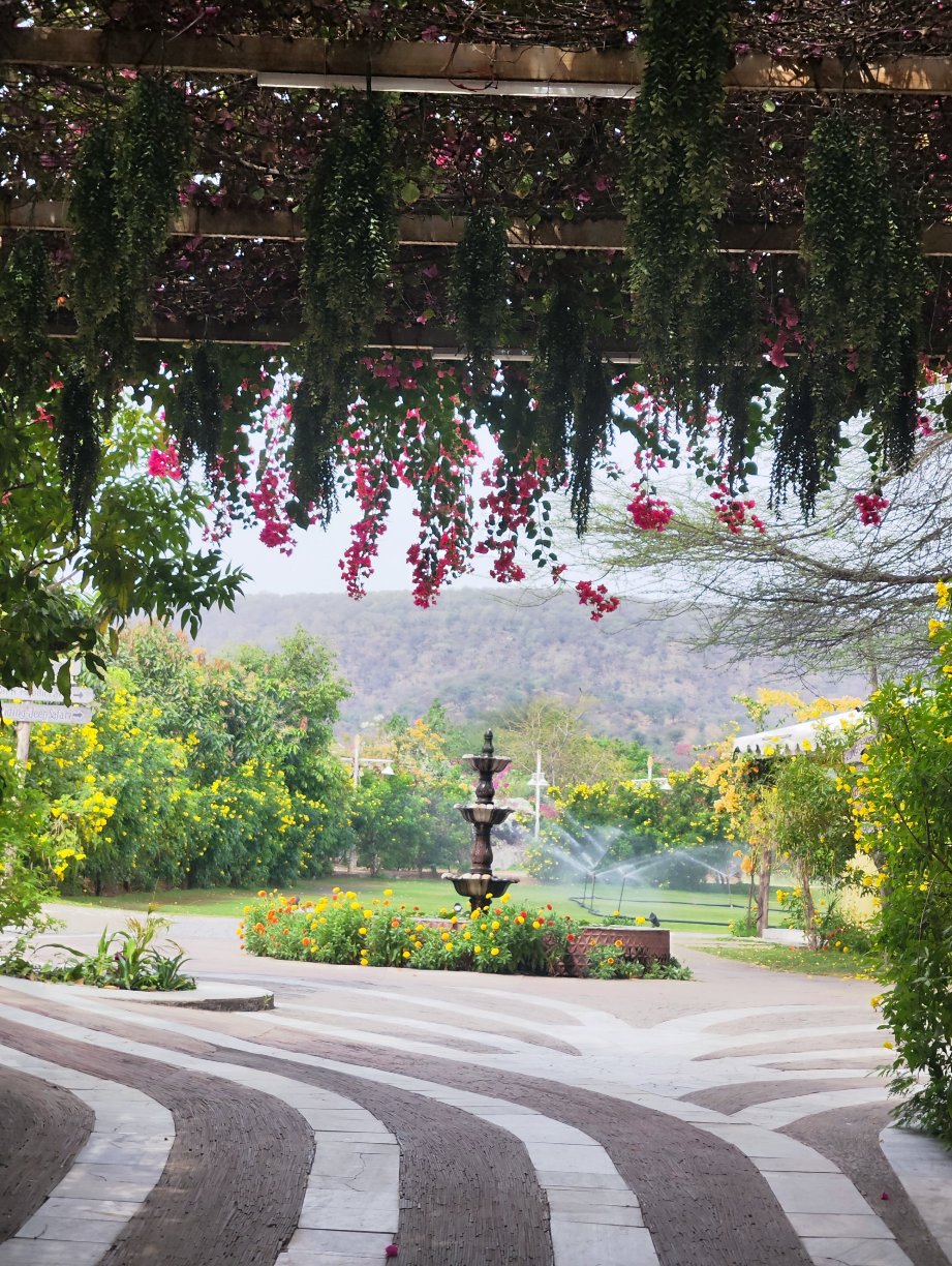 罗哈加尔堡渡假村-官方