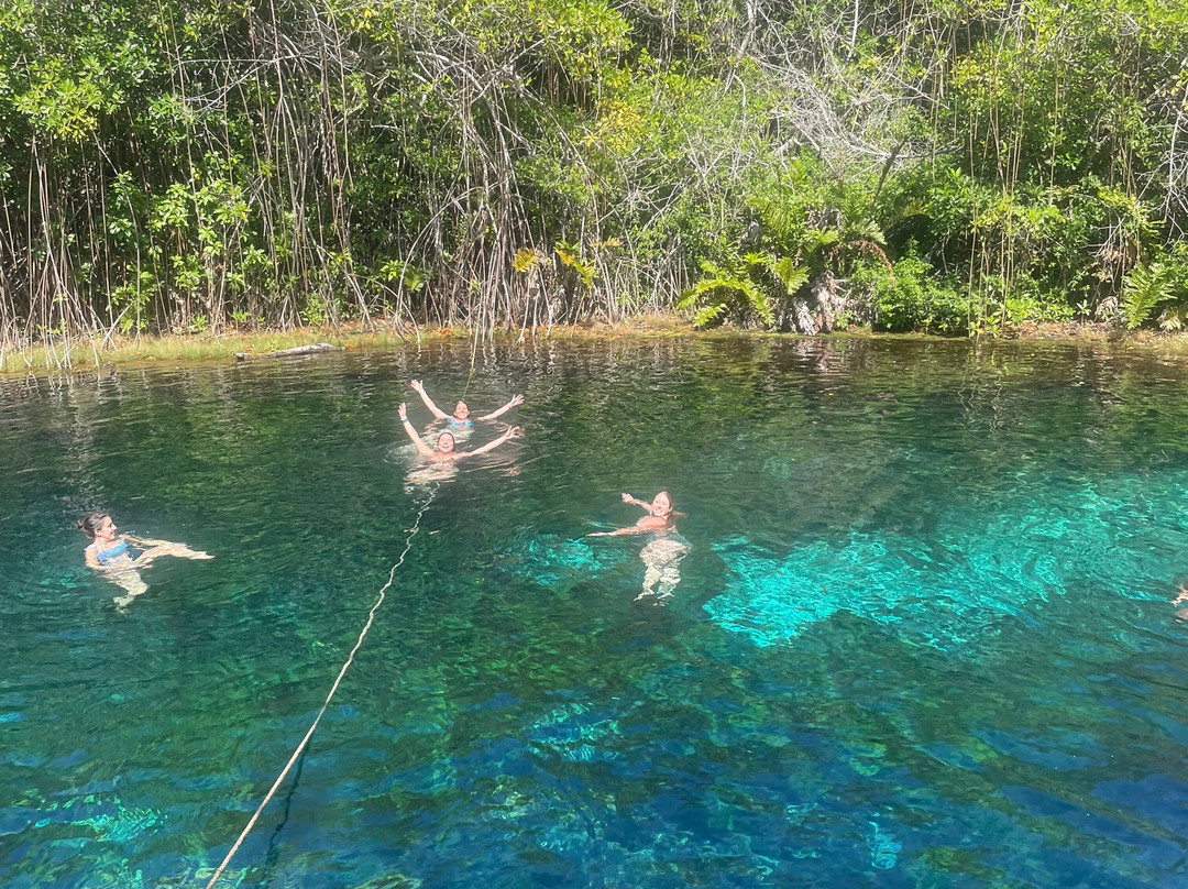 B Mexico Tours & Travel-普拉亚德尔卡曼必去景点