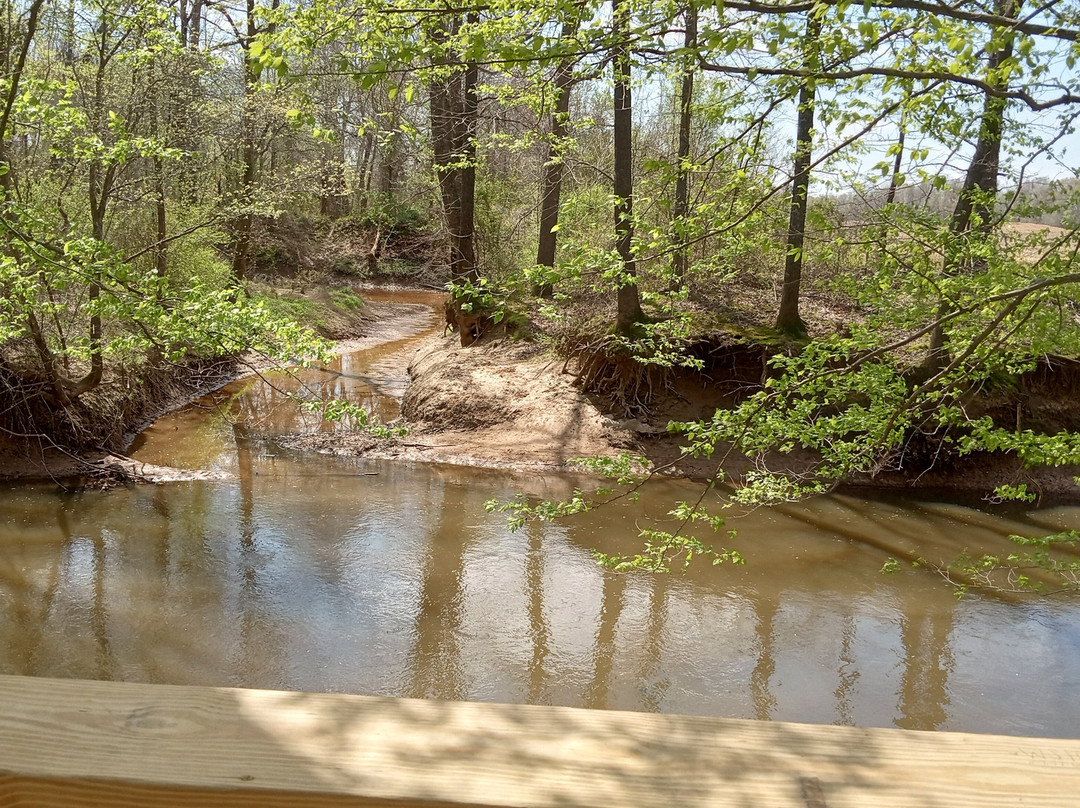 Pinson Mounds State Park-Pinson必去景点