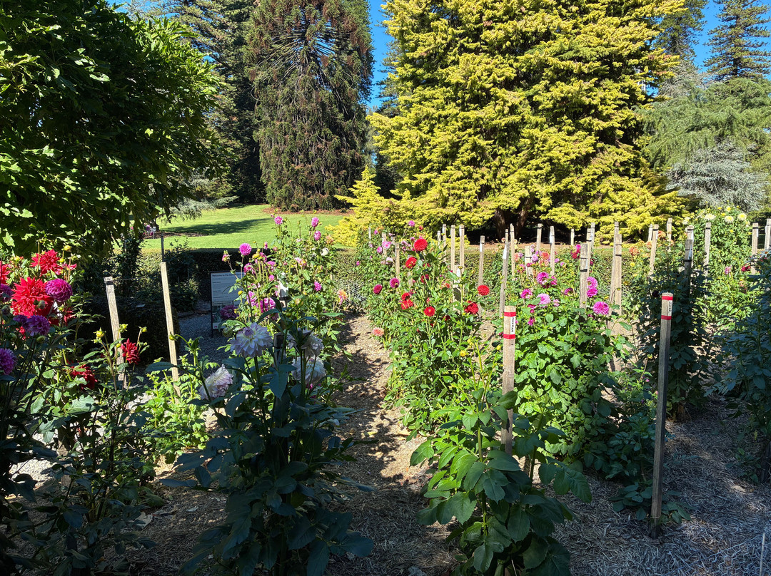 植物园-阿德莱德必去景点