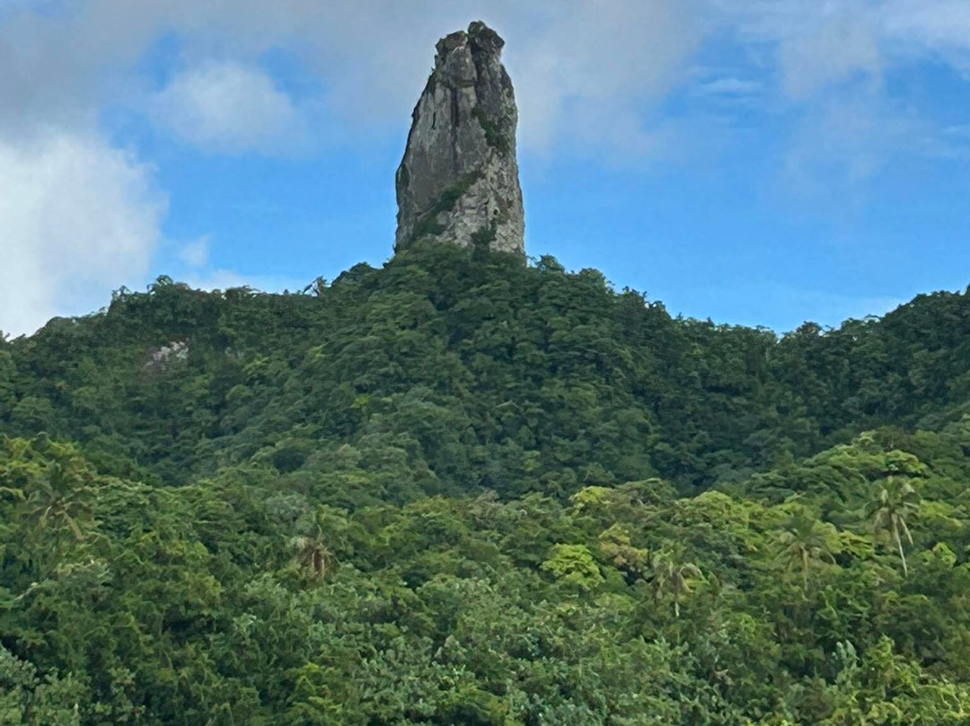 Raro Mountain Safari Tour-拉罗汤加必去景点