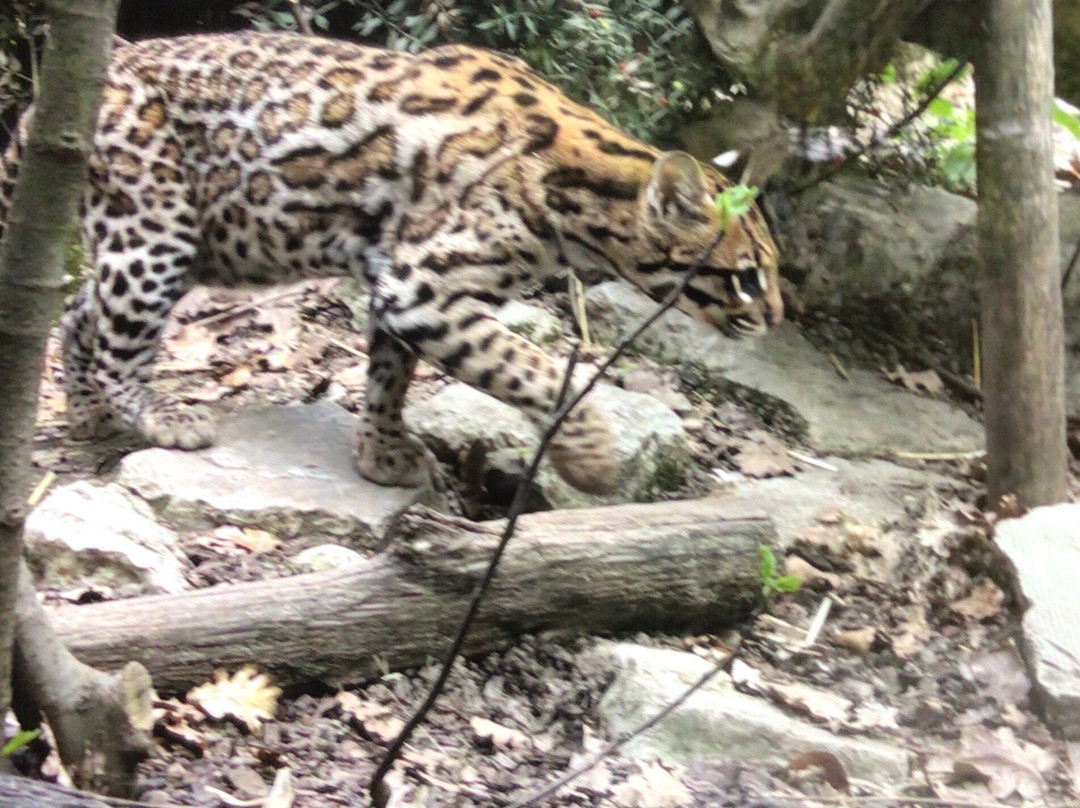 Parco Natura Viva-布索伦戈必去景点