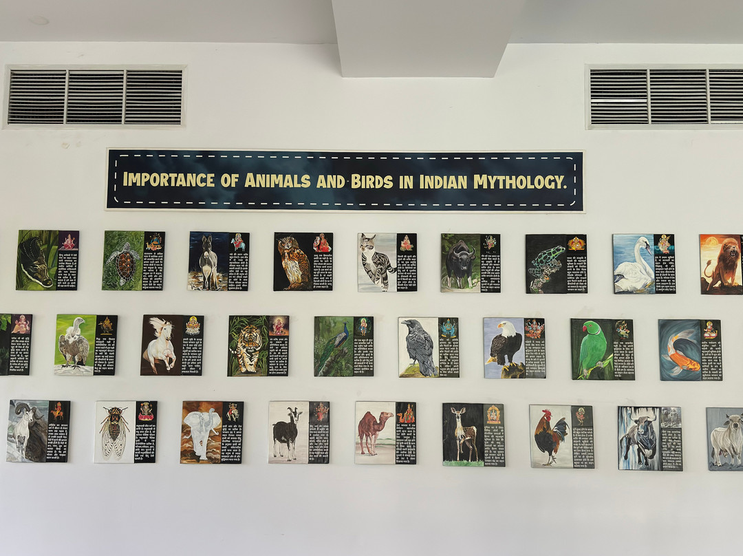 达斯图塔多巴主图