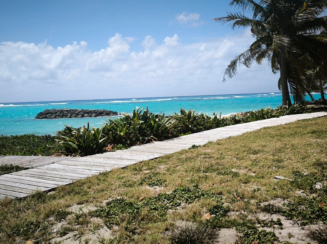 Feuillere Beach-Capesterre必去景点