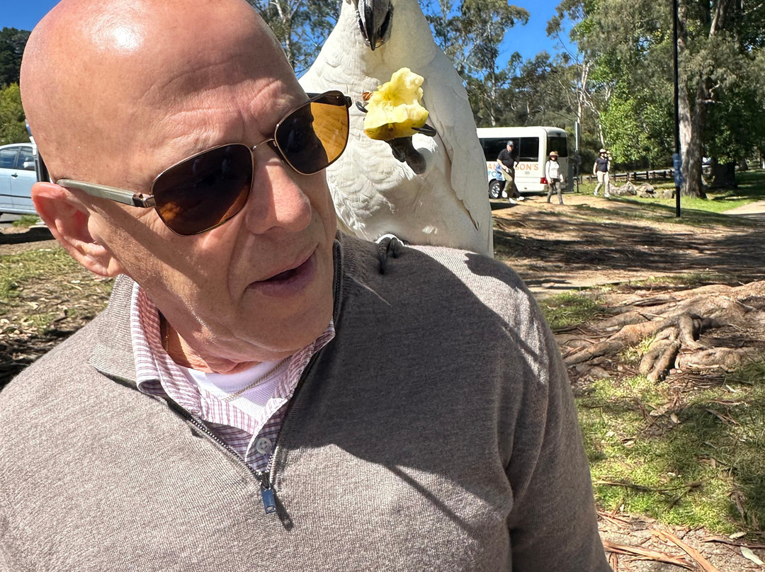 LuxCar-悉尼必去景点