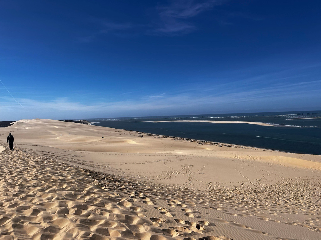 Great Dune of Pilat-拉泰斯特德比克必去景点