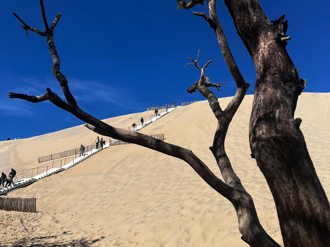 Great Dune of Pilat-拉泰斯特德比克必去景点