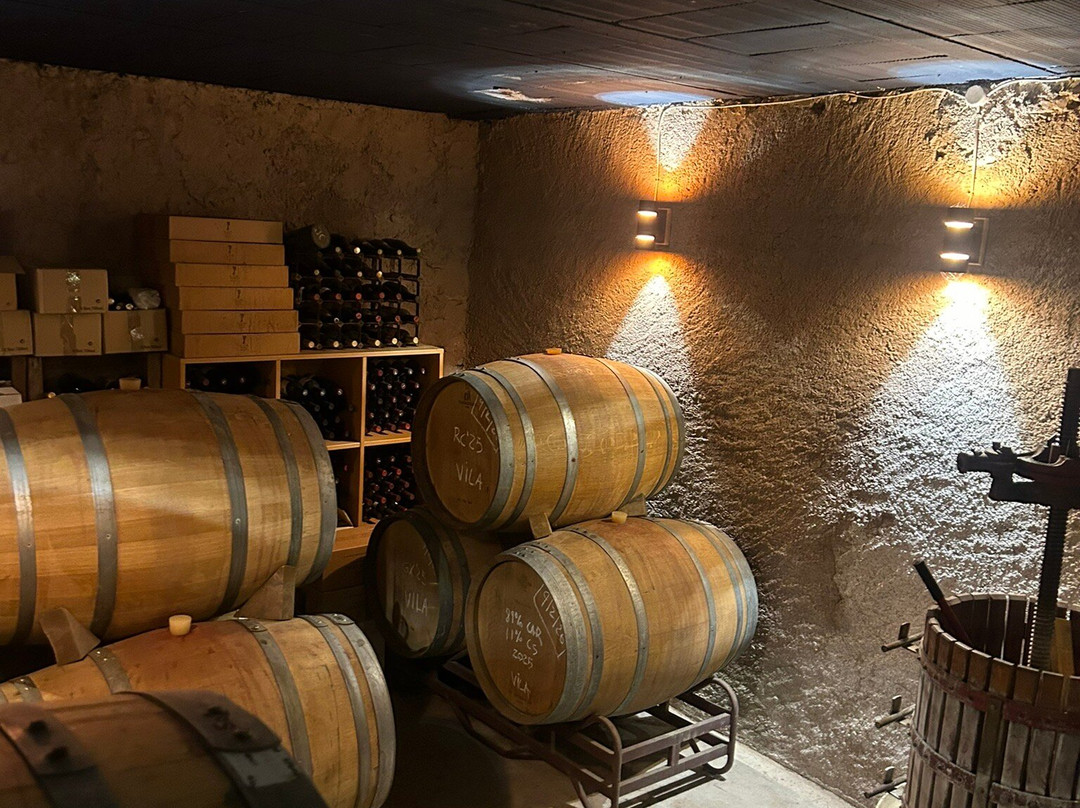 Celler Devinssi-Gratallops必去景点