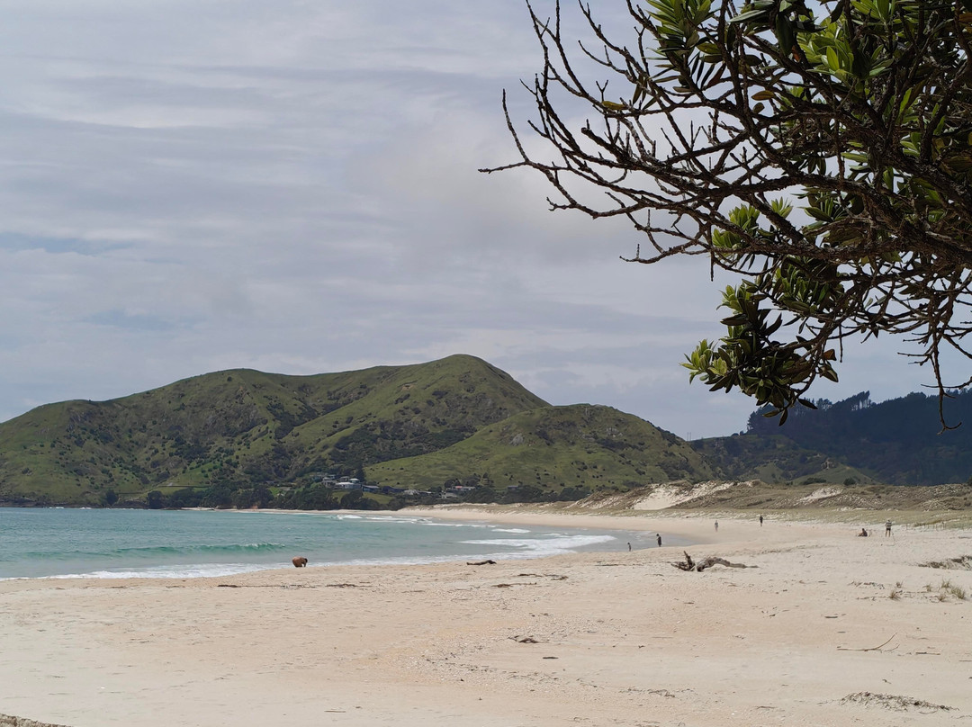 Kuaotunu Bay Lodge主图