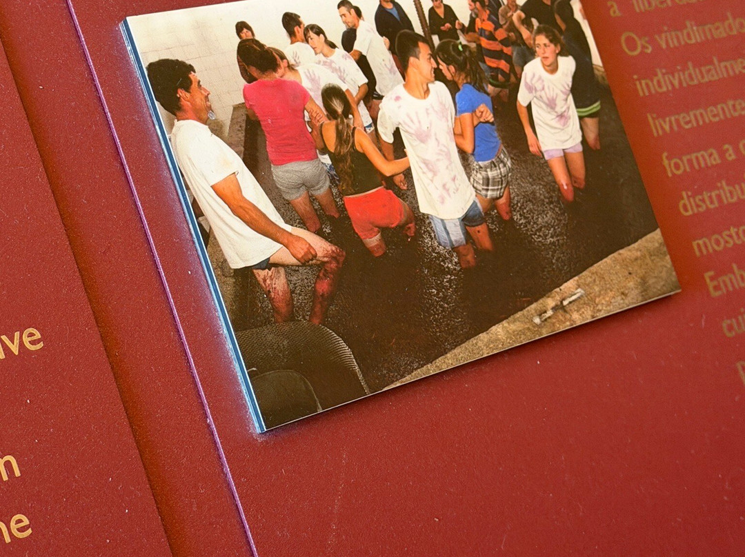 Quinta da Roeda-Pinhao必去景点