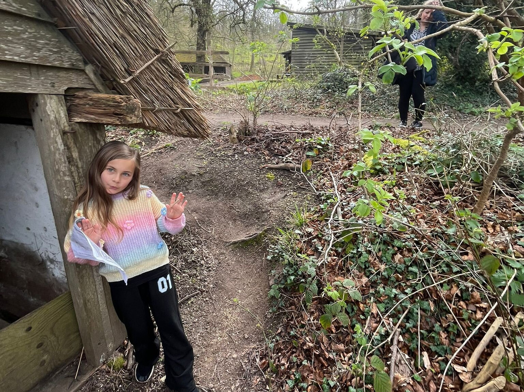 Weald & Downland Living Museum-Singleton必去景点